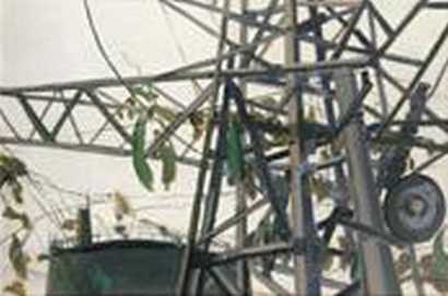 崔国泰 2004年作 瓜蔓缠绕的高压线架